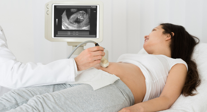 Parent Purpose Image
